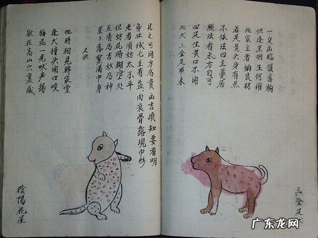 风水蜈蚣形出什么人 山寮村风水狗形讲解