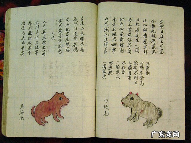 风水蜈蚣形出什么人 山寮村风水狗形讲解