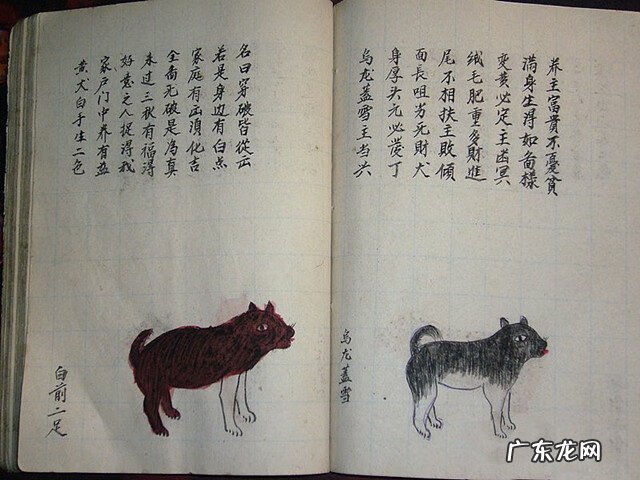 风水蜈蚣形出什么人 山寮村风水狗形讲解