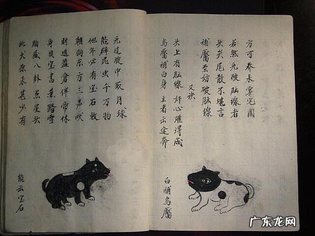 风水蜈蚣形出什么人 山寮村风水狗形讲解