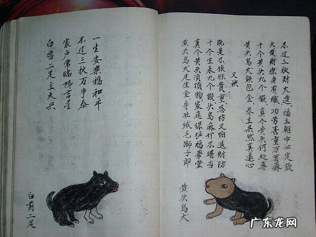 风水蜈蚣形出什么人 山寮村风水狗形讲解