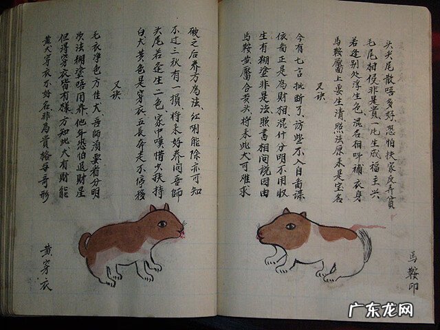 风水蜈蚣形出什么人 山寮村风水狗形讲解