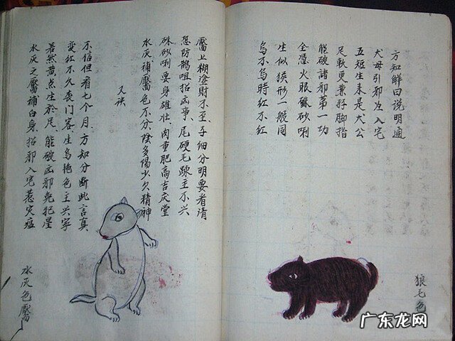 风水蜈蚣形出什么人 山寮村风水狗形讲解