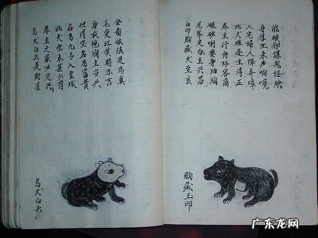 风水蜈蚣形出什么人 山寮村风水狗形讲解