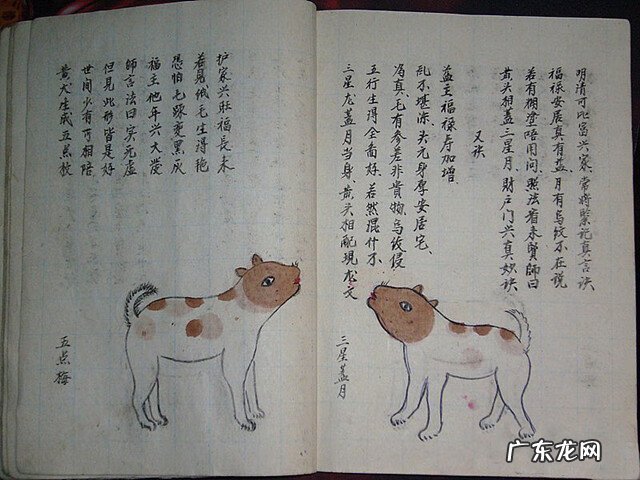 风水蜈蚣形出什么人 山寮村风水狗形讲解