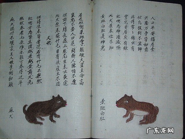 风水蜈蚣形出什么人 山寮村风水狗形讲解