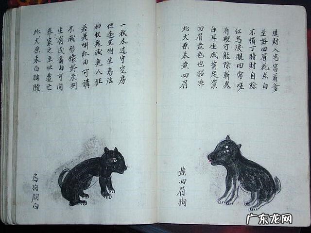 风水蜈蚣形出什么人 山寮村风水狗形讲解