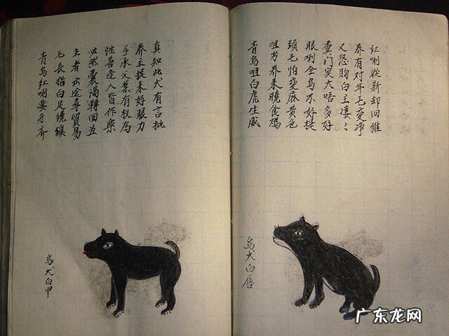 风水蜈蚣形出什么人 山寮村风水狗形讲解