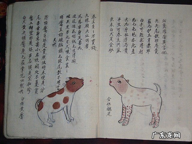 风水蜈蚣形出什么人 山寮村风水狗形讲解