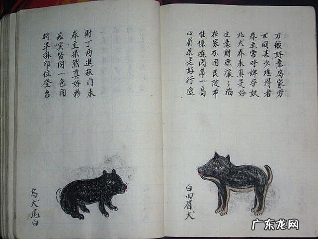 风水蜈蚣形出什么人 山寮村风水狗形讲解