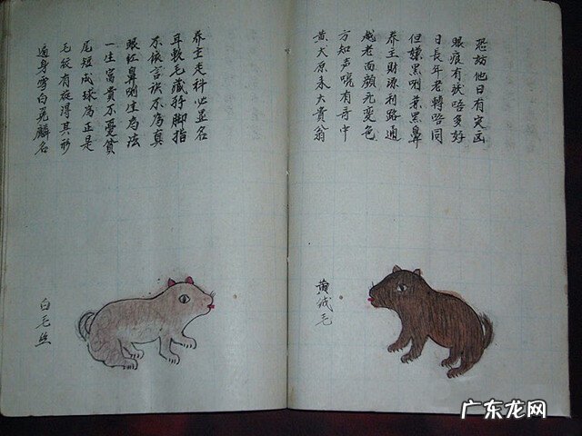 风水蜈蚣形出什么人 山寮村风水狗形讲解