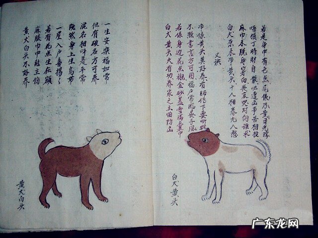 风水蜈蚣形出什么人 山寮村风水狗形讲解