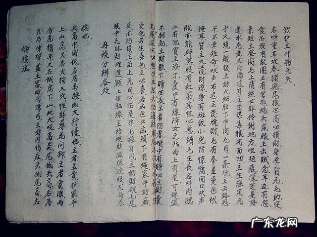 风水蜈蚣形出什么人 山寮村风水狗形讲解