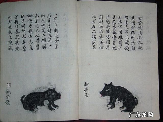 风水蜈蚣形出什么人 山寮村风水狗形讲解