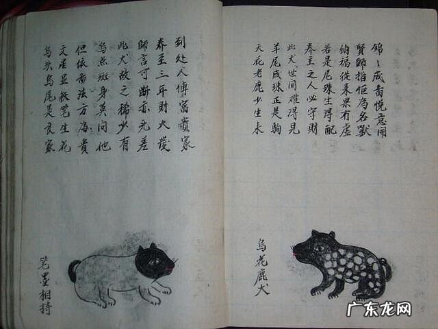 风水蜈蚣形出什么人 山寮村风水狗形讲解