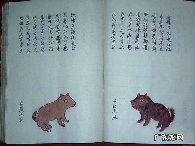 风水蜈蚣形出什么人 山寮村风水狗形讲解