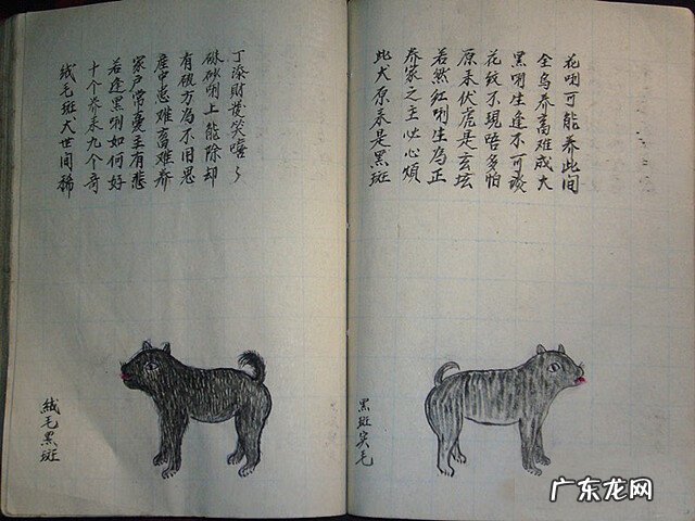 风水蜈蚣形出什么人 山寮村风水狗形讲解