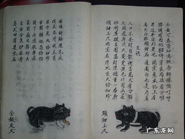 风水蜈蚣形出什么人 山寮村风水狗形讲解