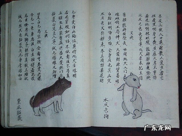 风水蜈蚣形出什么人 山寮村风水狗形讲解