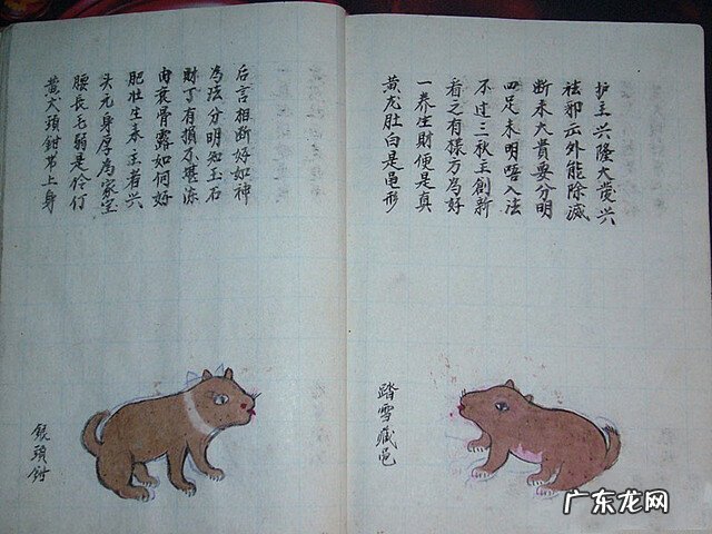 风水蜈蚣形出什么人 山寮村风水狗形讲解