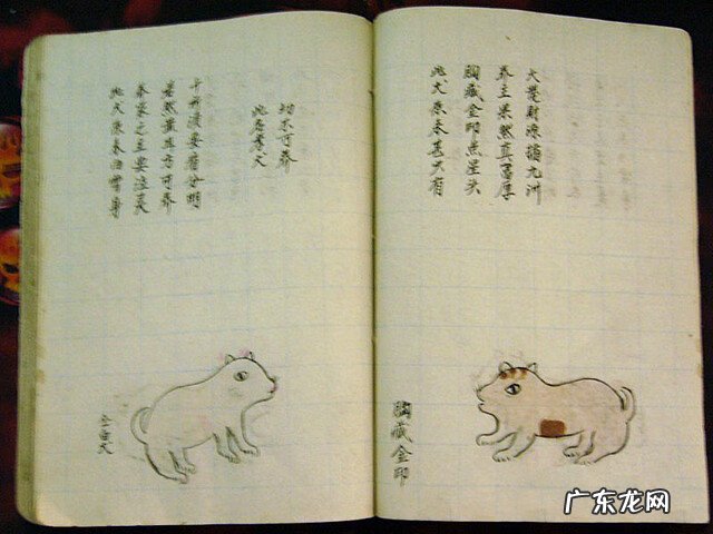 风水蜈蚣形出什么人 山寮村风水狗形讲解