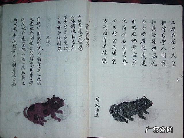 风水蜈蚣形出什么人 山寮村风水狗形讲解