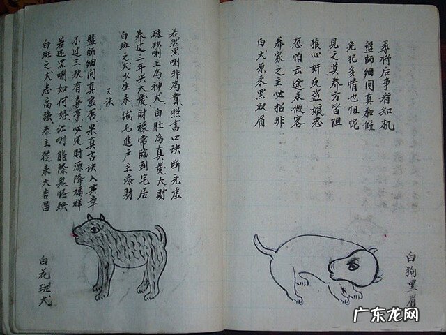 风水蜈蚣形出什么人 山寮村风水狗形讲解