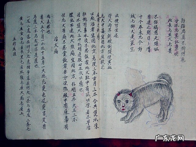 风水蜈蚣形出什么人 山寮村风水狗形讲解