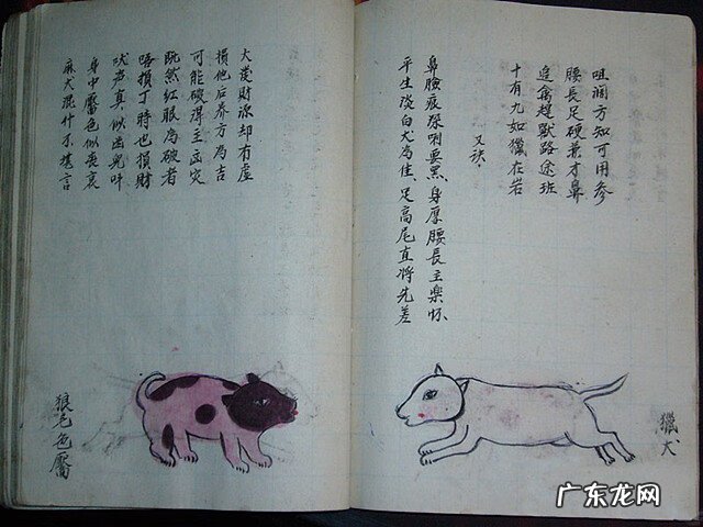 风水蜈蚣形出什么人 山寮村风水狗形讲解