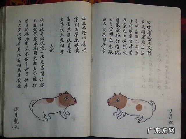 风水蜈蚣形出什么人 山寮村风水狗形讲解