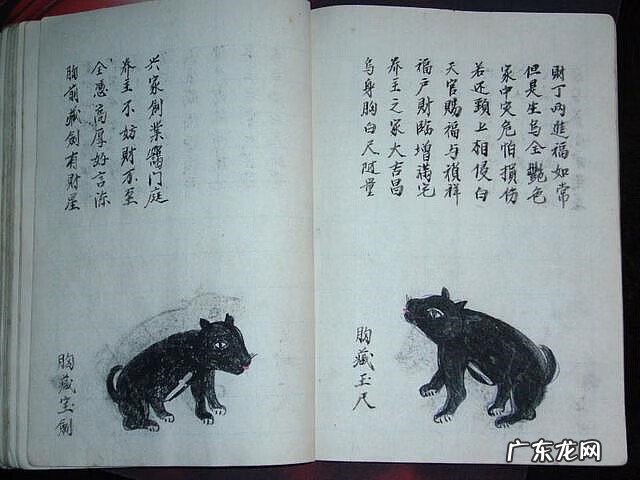 风水蜈蚣形出什么人 山寮村风水狗形讲解