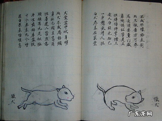 风水蜈蚣形出什么人 山寮村风水狗形讲解