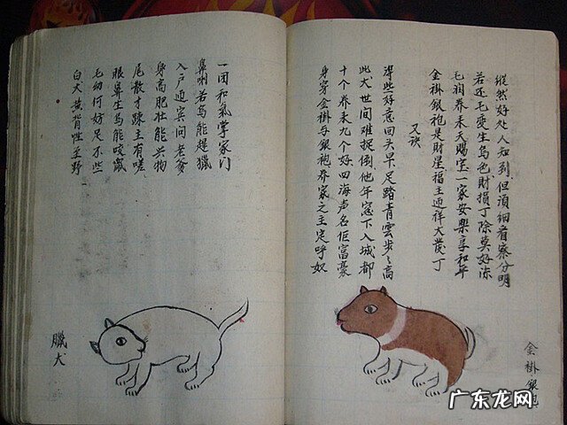 风水蜈蚣形出什么人 山寮村风水狗形讲解