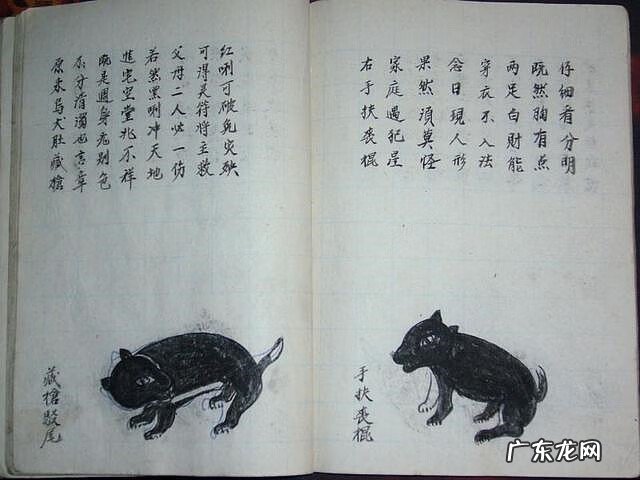 风水蜈蚣形出什么人 山寮村风水狗形讲解