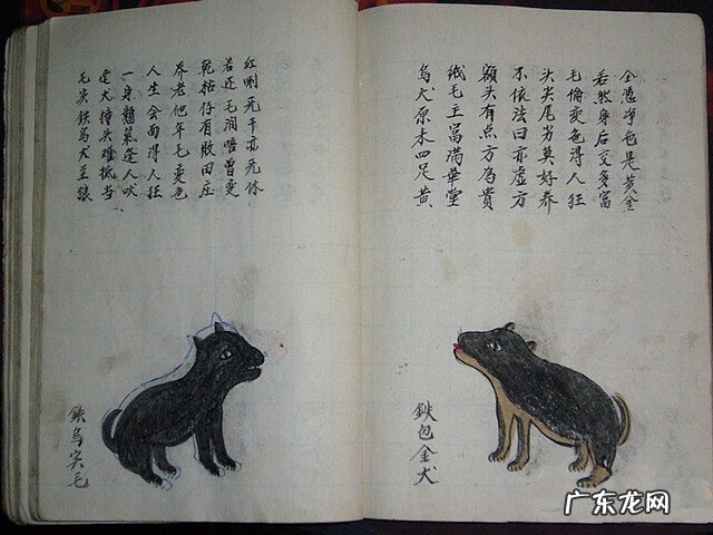 风水蜈蚣形出什么人 山寮村风水狗形讲解