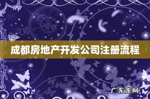 成都房地产开发公司注册流程