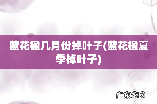 蓝花楹夏季掉叶子 蓝花楹几月份掉叶子