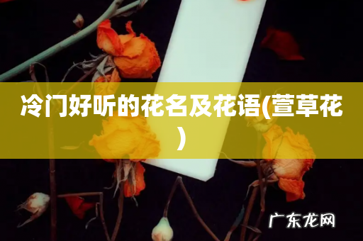 萱草花 冷门好听的花名及花语