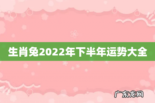 生肖兔2022年下半年运势大全