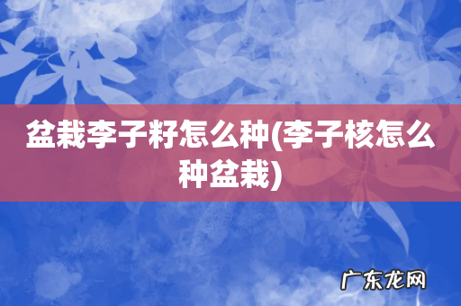 李子核怎么种盆栽 盆栽李子籽怎么种