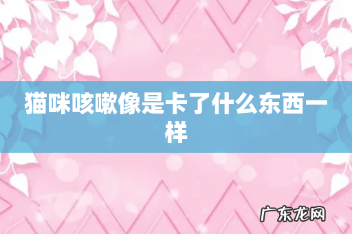 猫咪咳嗽像是卡了什么东西一样