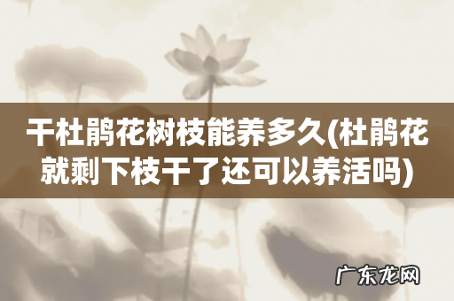 杜鹃花就剩下枝干了还可以养活吗 干杜鹃花树枝能养多久