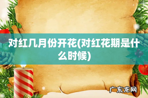 对红花期是什么时候 对红几月份开花