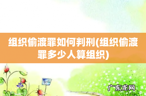 组织偷渡罪多少人算组织 组织偷渡罪如何判刑