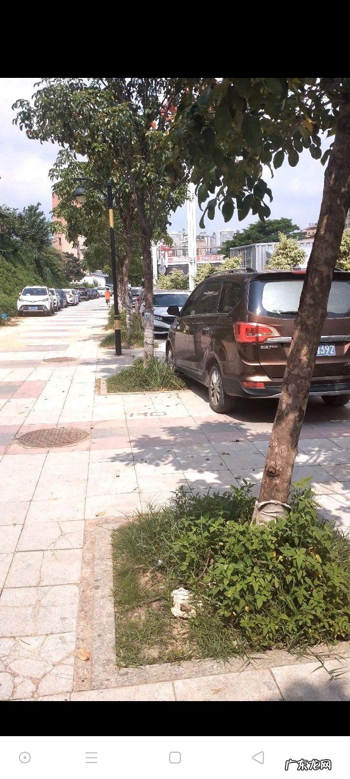 轿车停车游戏 好玩的停车游戏