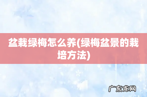 绿梅盆景的栽培方法 盆栽绿梅怎么养