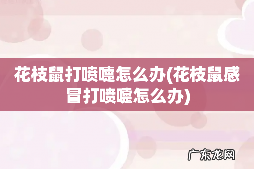 花枝鼠感冒打喷嚏怎么办 花枝鼠打喷嚏怎么办