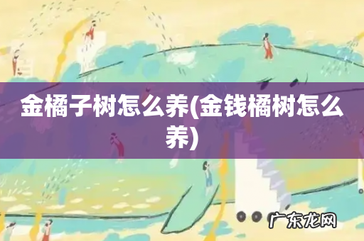 金钱橘树怎么养 金橘子树怎么养