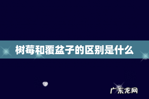 树莓和覆盆子的区别是什么