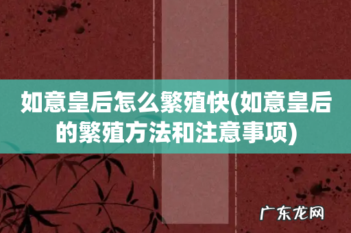 如意皇后的繁殖方法和注意事项 如意皇后怎么繁殖快